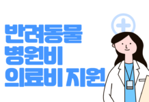 반려동물 병원비 의료비 지원 지자체 및 신청방법 조건