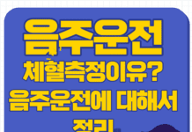 음주운전 기준과 처벌 쉽게 정리, 체혈하는 이유