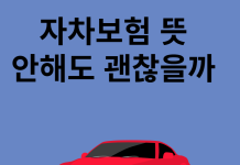 자차보험 뜻 없으면 어떻게 될까?